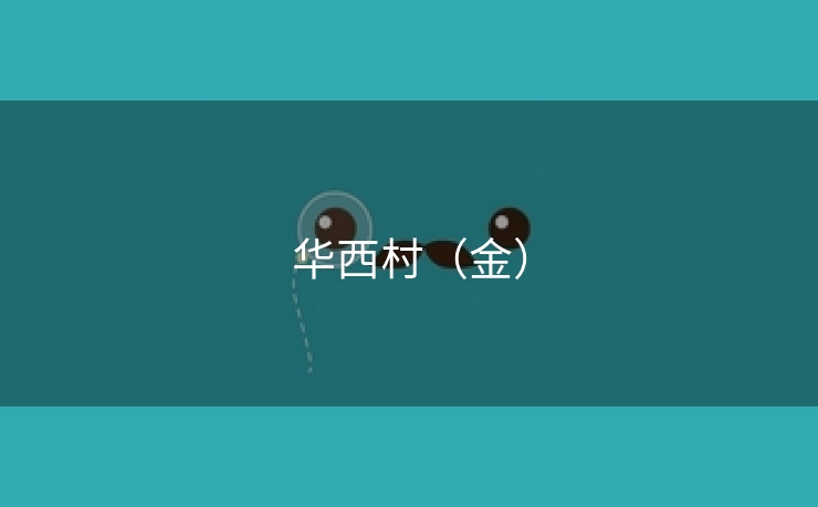 华西村（金）