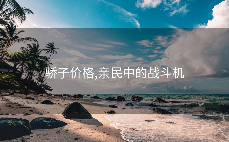 骄子价格,亲民中的战斗机