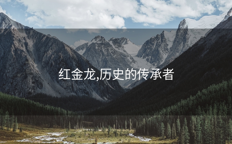 红金龙,历史的传承者