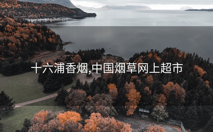 十六浦香烟,中国烟草网上超市