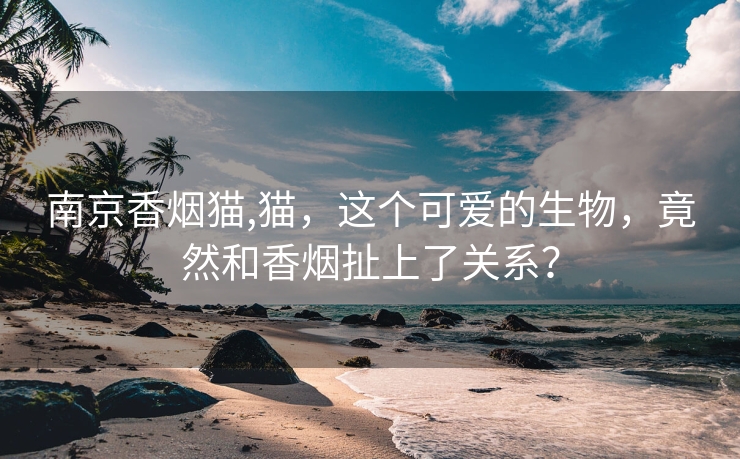 南京香烟猫,猫，这个可爱的生物，竟然和香烟扯上了关系？