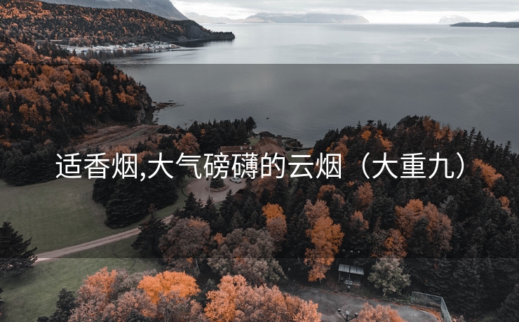 适香烟,大气磅礴的云烟（大重九）