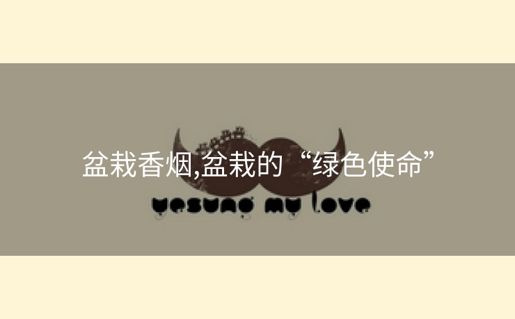 盆栽香烟,盆栽的“绿色使命”