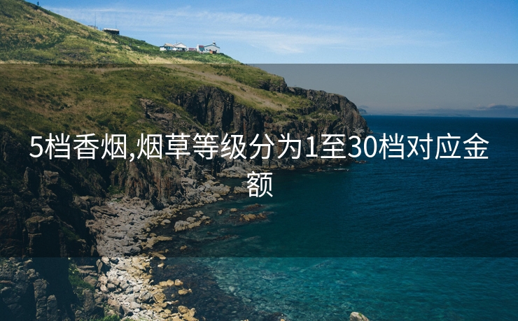 5档香烟,烟草等级分为1至30档对应金额