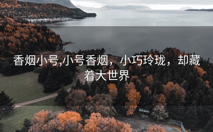 香烟小号,小号香烟，小巧玲珑，却藏着大世界