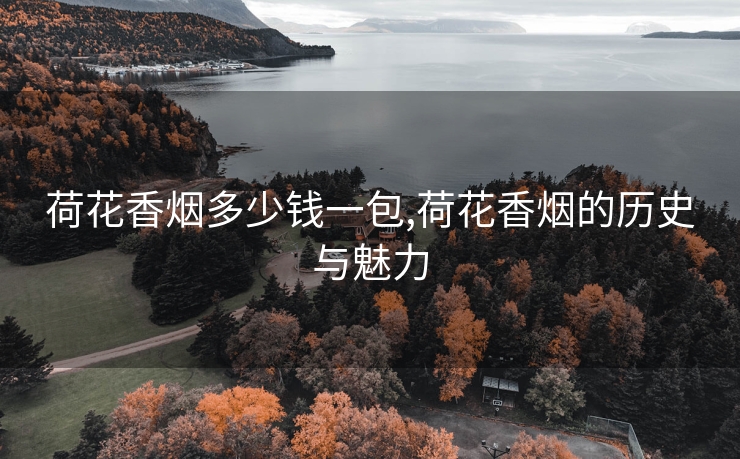 荷花香烟多少钱一包,荷花香烟的历史与魅力