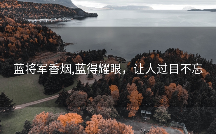 蓝将军香烟,蓝得耀眼，让人过目不忘