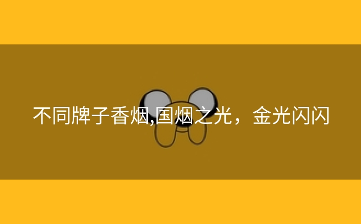 不同牌子香烟,国烟之光，金光闪闪