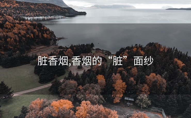 脏香烟,香烟的“脏”面纱