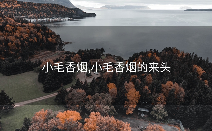 小毛香烟,小毛香烟的来头