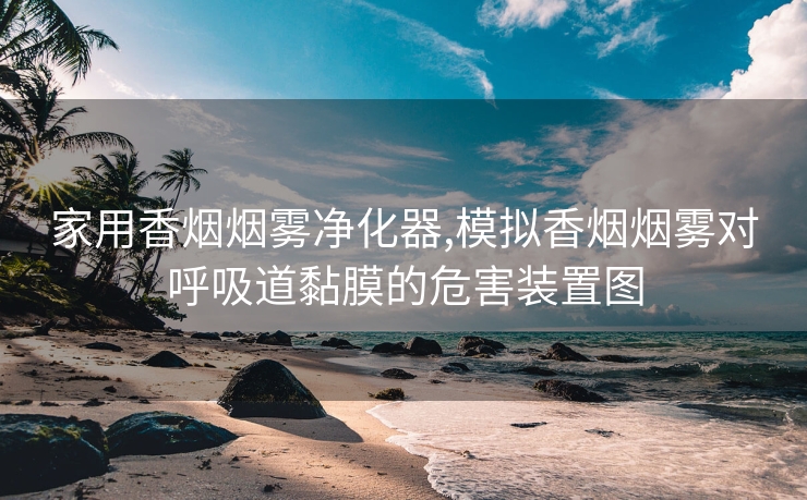 家用香烟烟雾净化器,模拟香烟烟雾对呼吸道黏膜的危害装置图