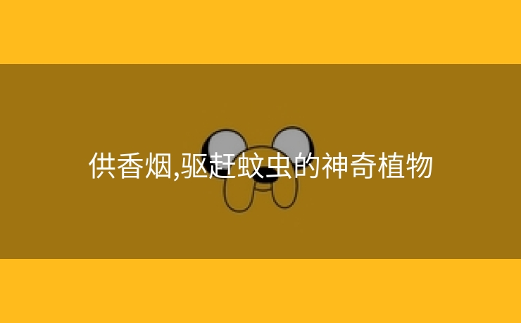 供香烟,驱赶蚊虫的神奇植物