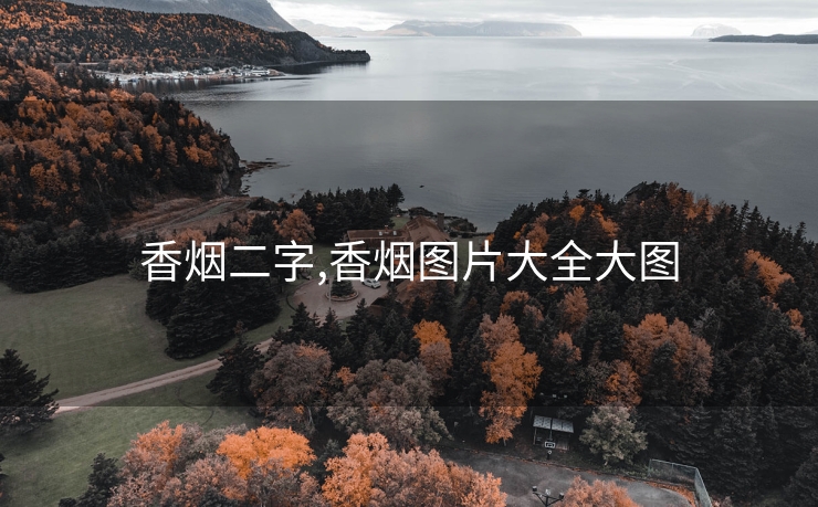 香烟二字,香烟图片大全大图