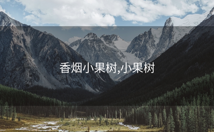 香烟小果树,小果树