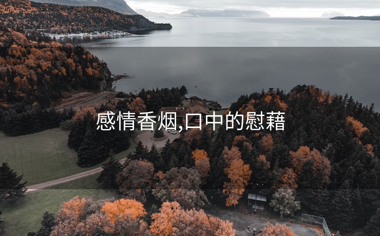 感情香烟,口中的慰藉