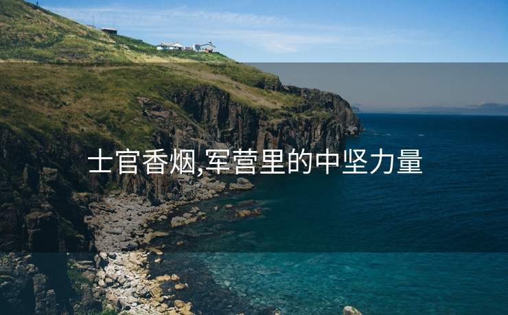 士官香烟,军营里的中坚力量