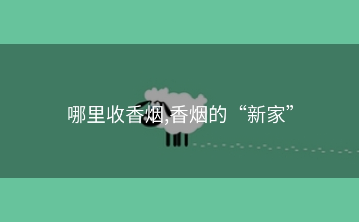 哪里收香烟,香烟的“新家”