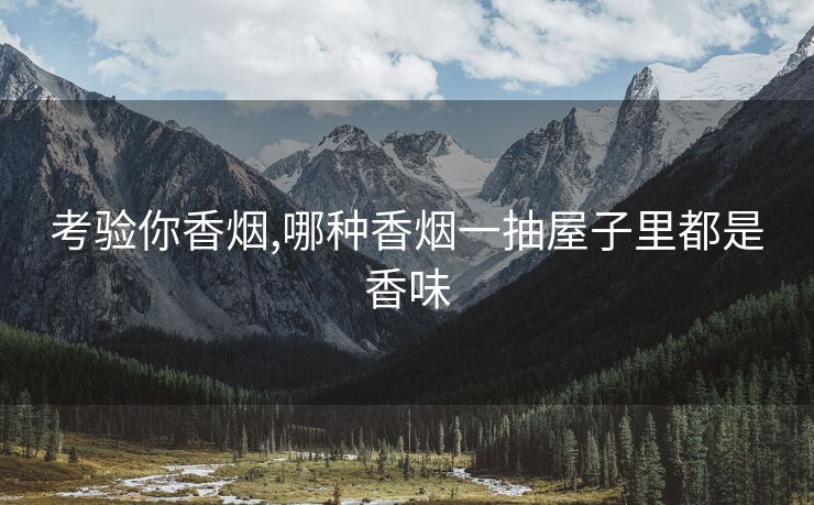 考验你香烟,哪种香烟一抽屋子里都是香味