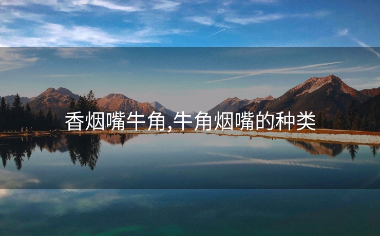 香烟嘴牛角,牛角烟嘴的种类