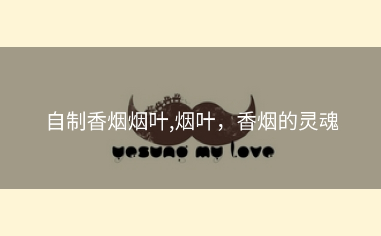 自制香烟烟叶,烟叶，香烟的灵魂