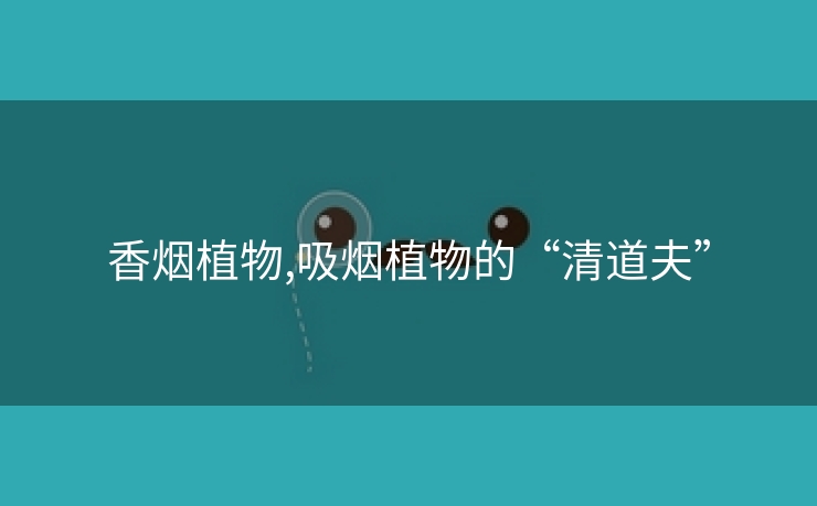 香烟植物,吸烟植物的“清道夫”