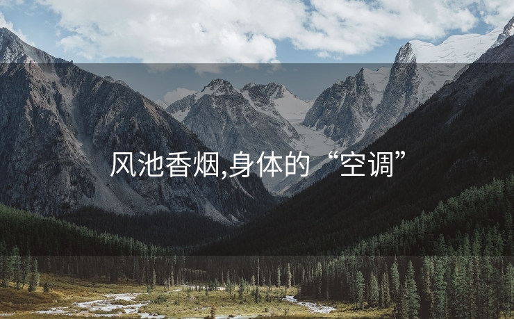 风池香烟,身体的“空调”