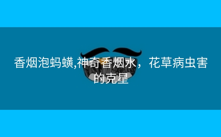 香烟泡蚂蟥,神奇香烟水，花草病虫害的克星