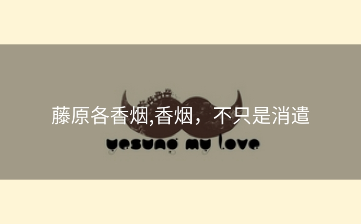 藤原各香烟,香烟，不只是消遣