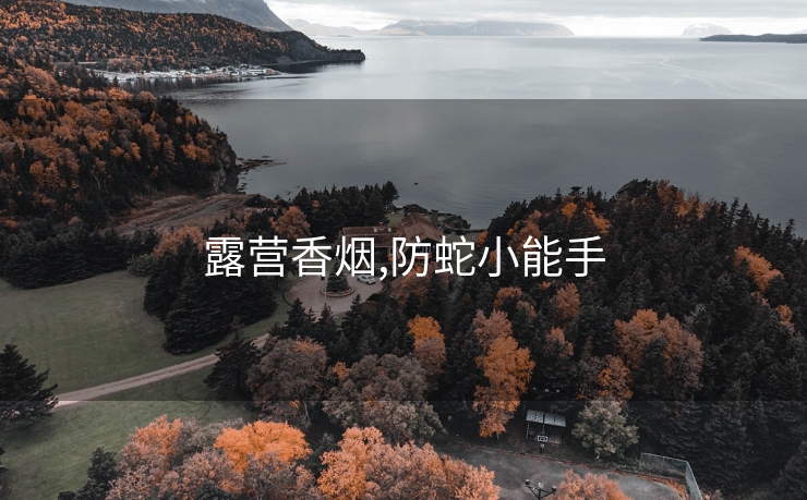露营香烟,防蛇小能手