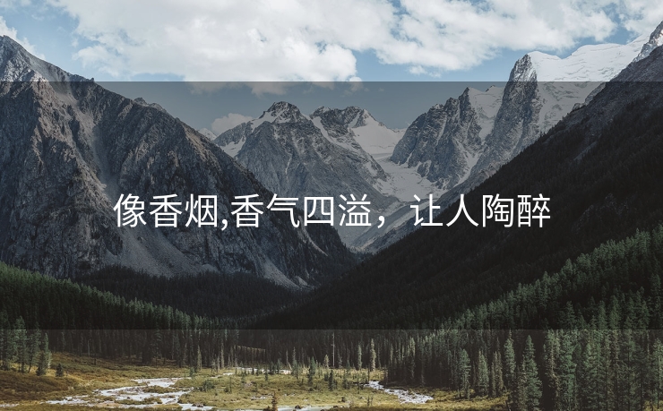 像香烟,香气四溢，让人陶醉