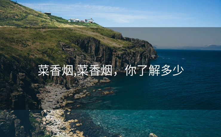 菜香烟,菜香烟，你了解多少
