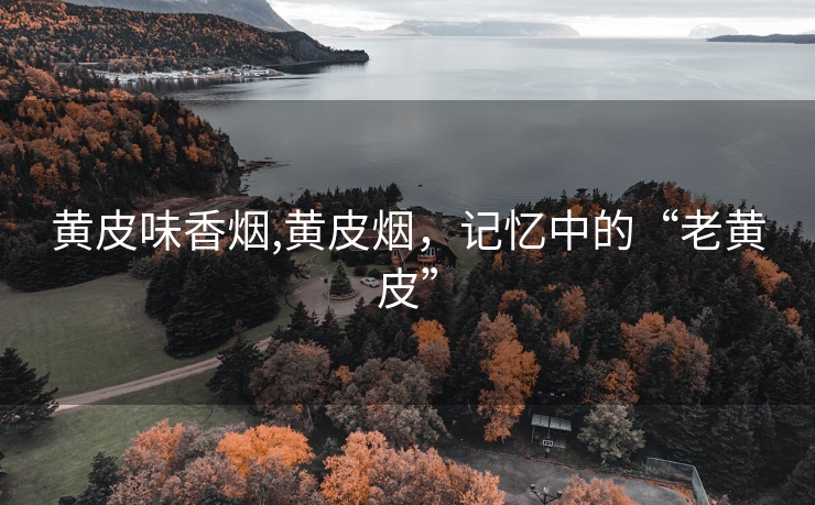 黄皮味香烟,黄皮烟，记忆中的“老黄皮”