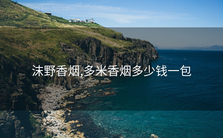 沫野香烟,多米香烟多少钱一包