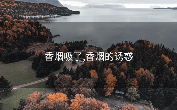 香烟吸了,香烟的诱惑