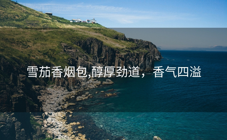 雪茄香烟包,醇厚劲道，香气四溢