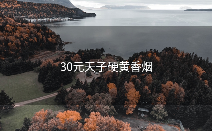 30元天子硬黄香烟