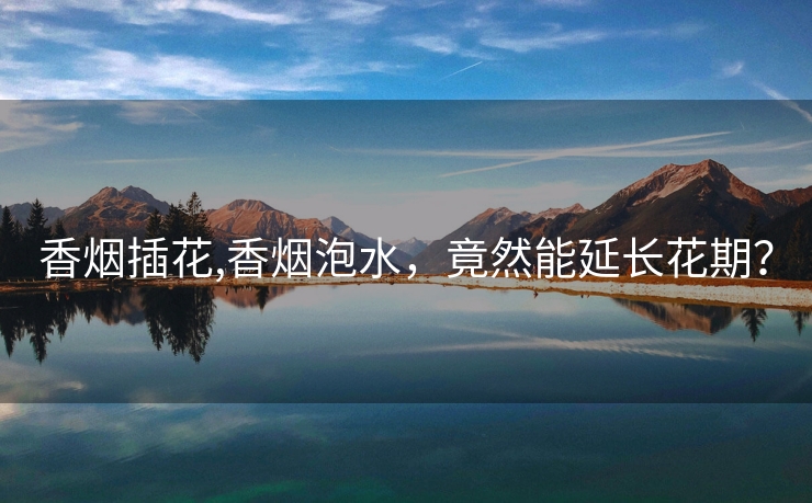 香烟插花,香烟泡水，竟然能延长花期？