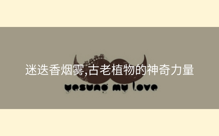 迷迭香烟雾,古老植物的神奇力量