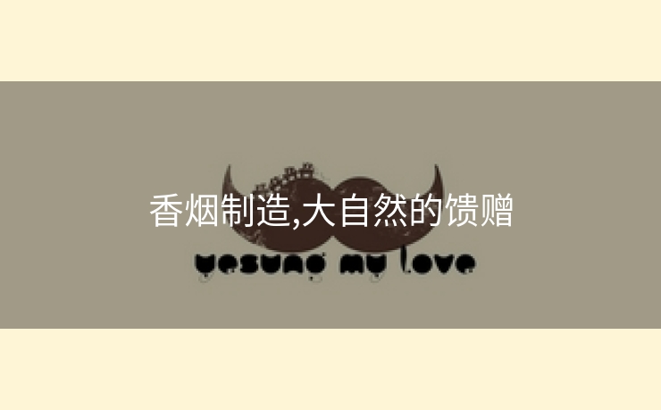 香烟制造,大自然的馈赠