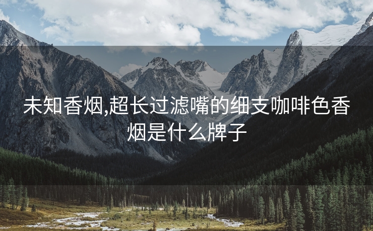 未知香烟,超长过滤嘴的细支咖啡色香烟是什么牌子