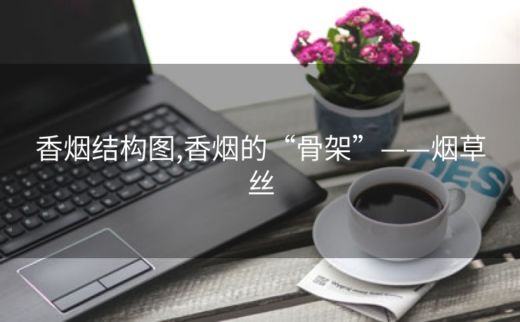 香烟结构图,香烟的“骨架”——烟草丝