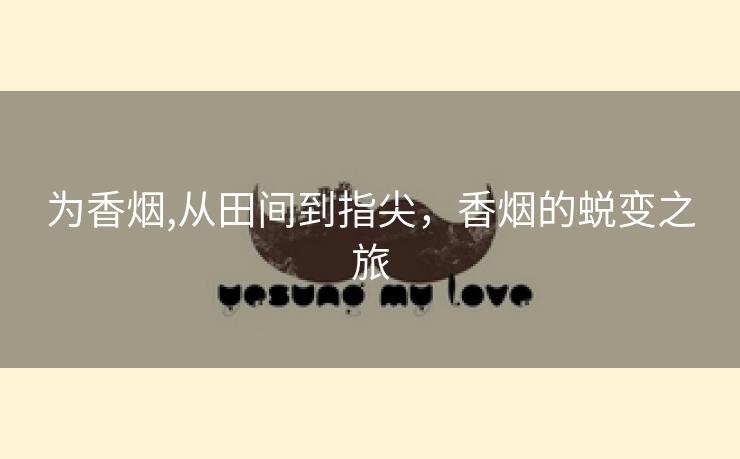 为香烟,从田间到指尖，香烟的蜕变之旅