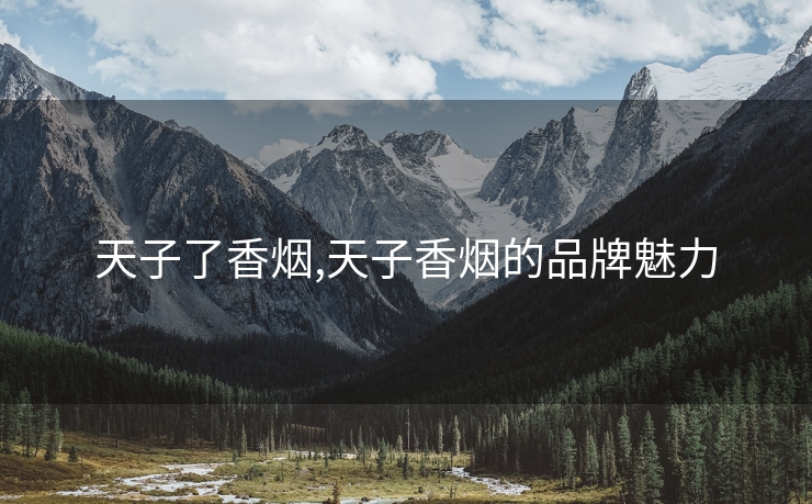 天子了香烟,天子香烟的品牌魅力
