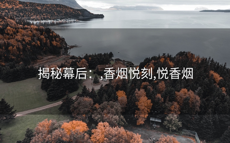 揭秘幕后：,香烟悦刻,悦香烟