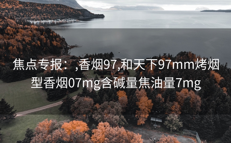 焦点专报：,香烟97,和天下97mm烤烟型香烟07mg含碱量焦油量7mg