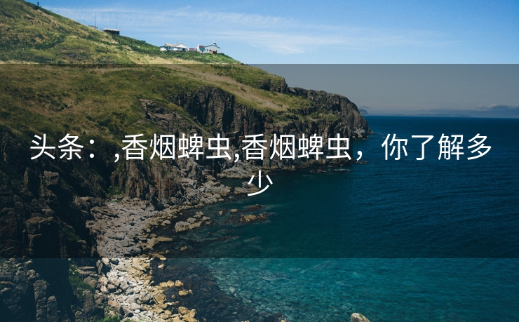 头条：,香烟蜱虫,香烟蜱虫，你了解多少