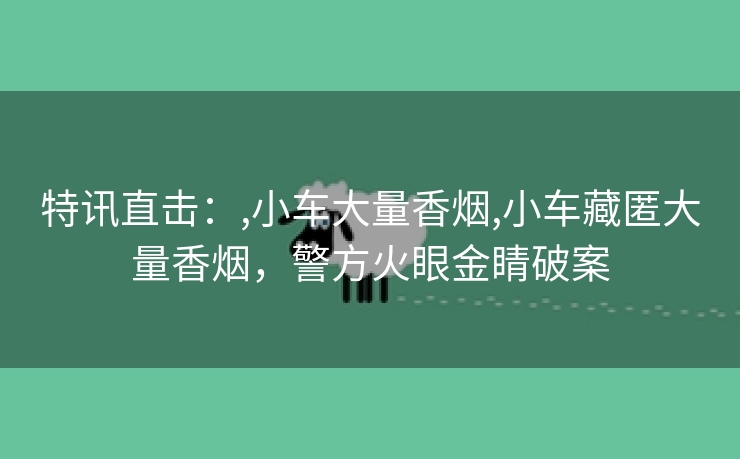 特讯直击：,小车大量香烟,小车藏匿大量香烟，警方火眼金睛破案