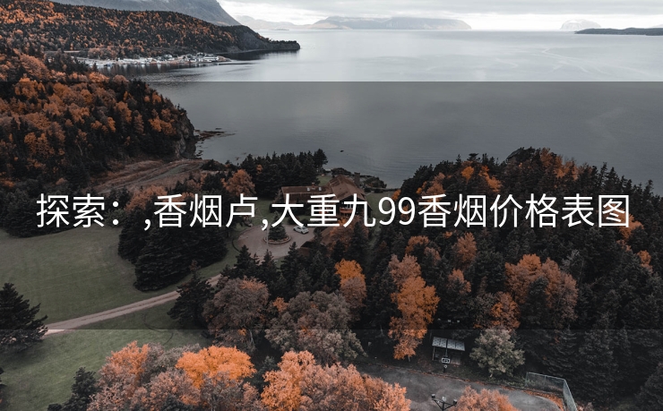 探索：,香烟卢,大重九99香烟价格表图