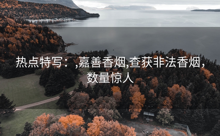 热点特写：,嘉善香烟,查获非法香烟，数量惊人