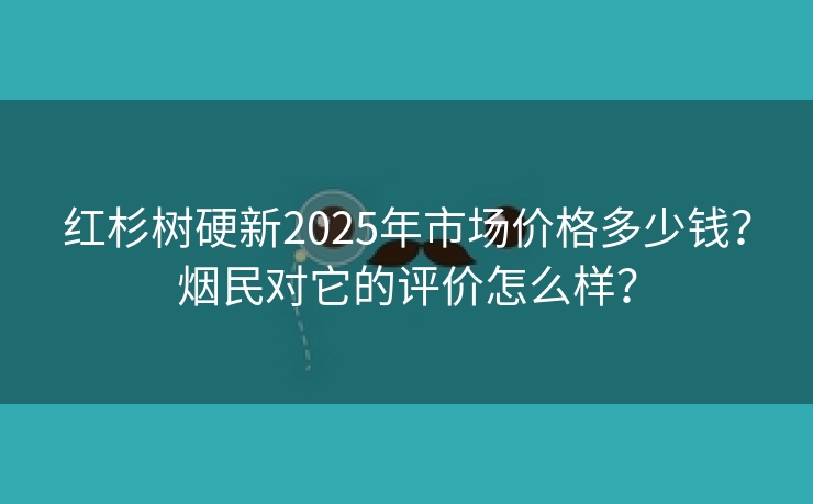 红杉树硬新2025年市场价格多少钱？烟民对它的评价怎么样？